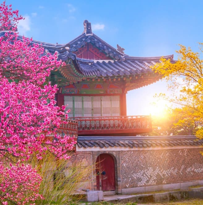 South Korea Tour Package